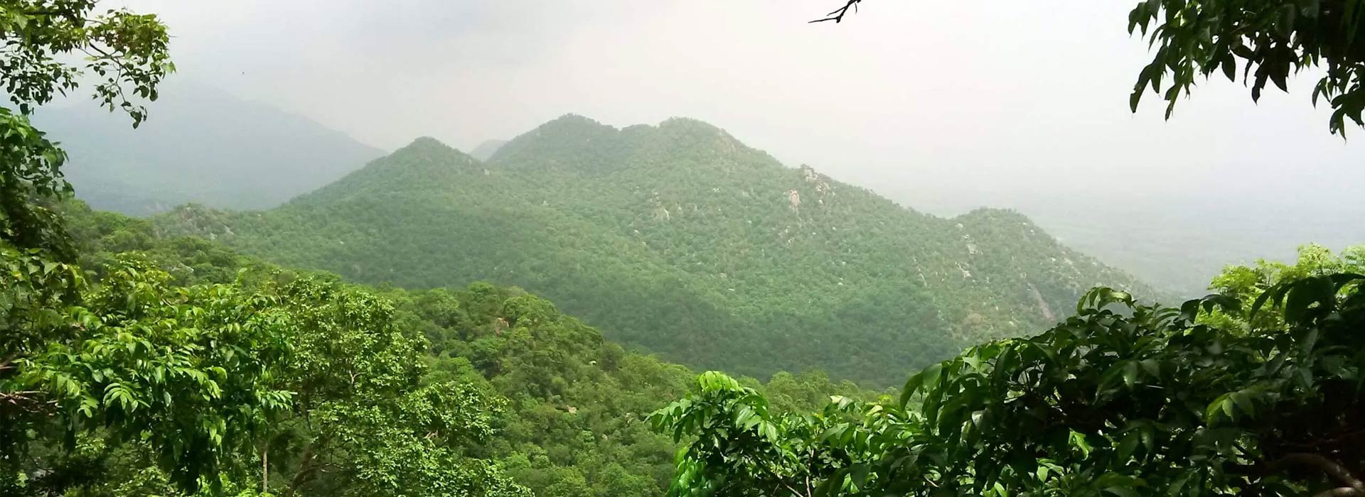 rajasthan-tour-8-days