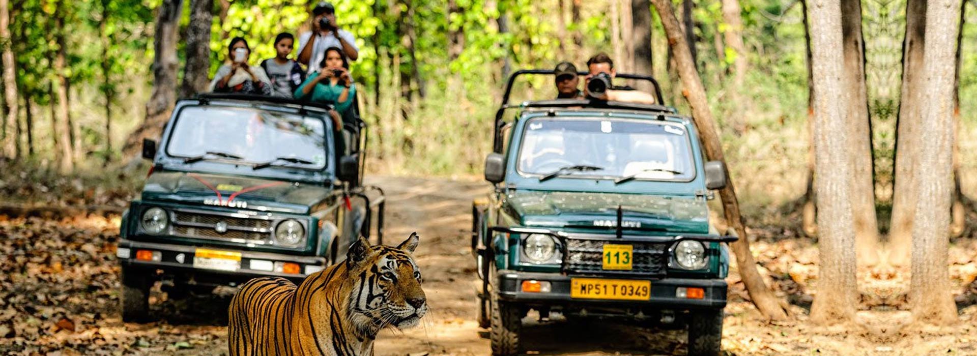 taj-mahal-tour-with-chambal-safari